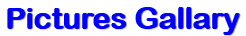 Pictures Gallary