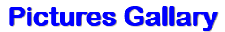 Pictures Gallary