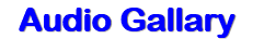 Audio Gallary