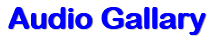 Audio Gallary